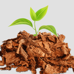 Coco Products Exporter in India